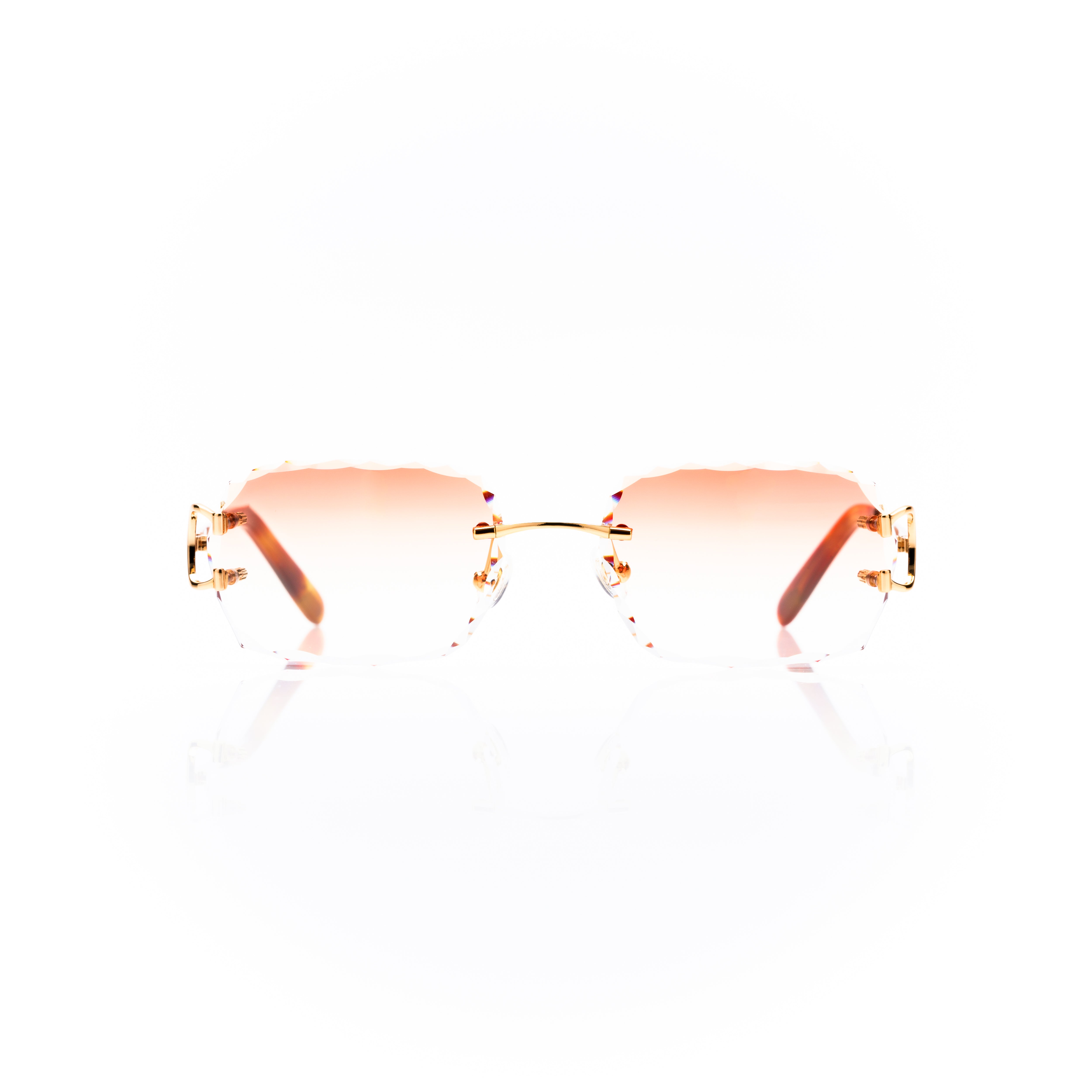 Vision Optik