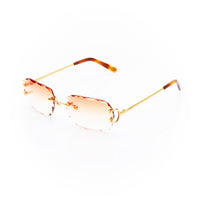 Vision Optik