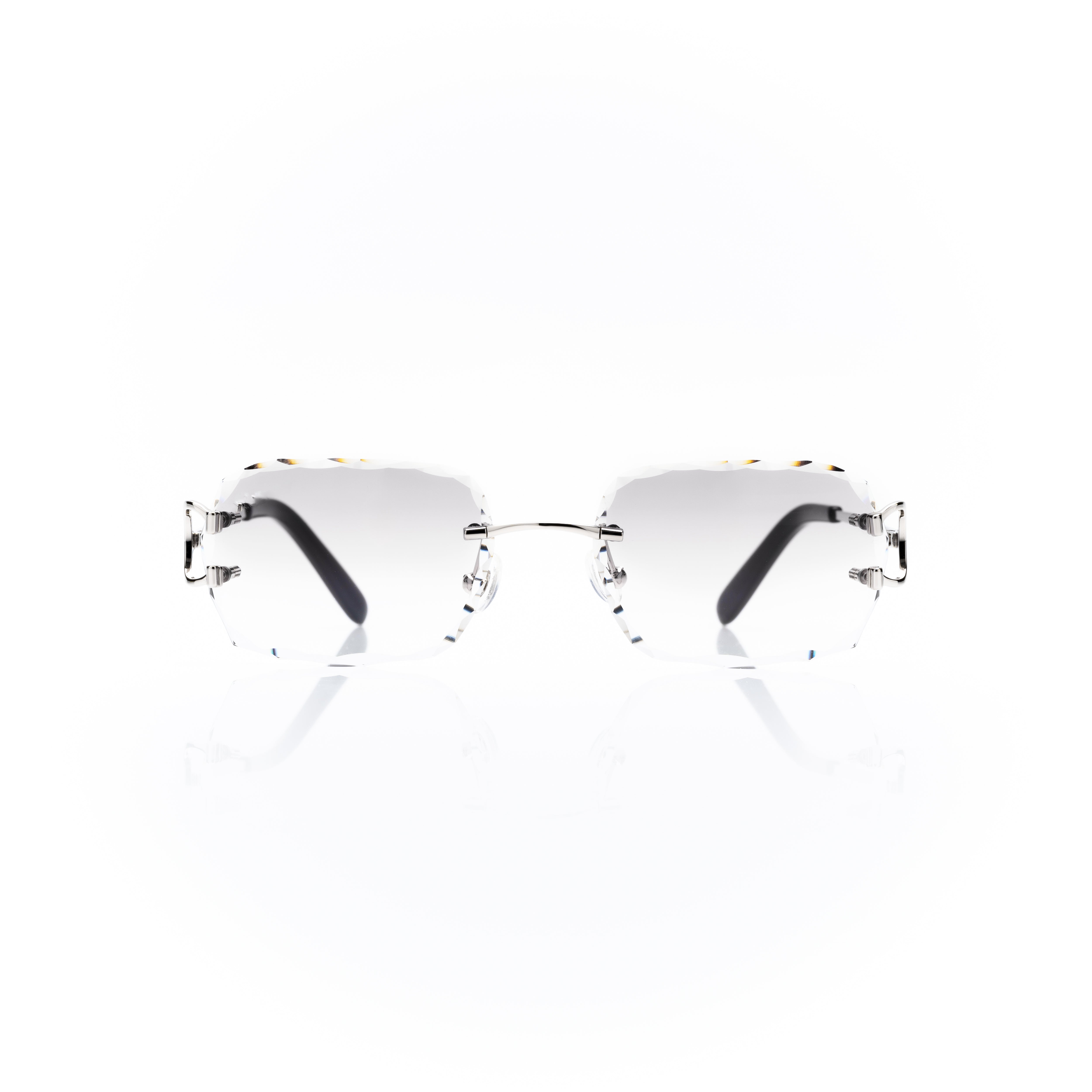 Vision Optik