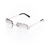 Vision Optik