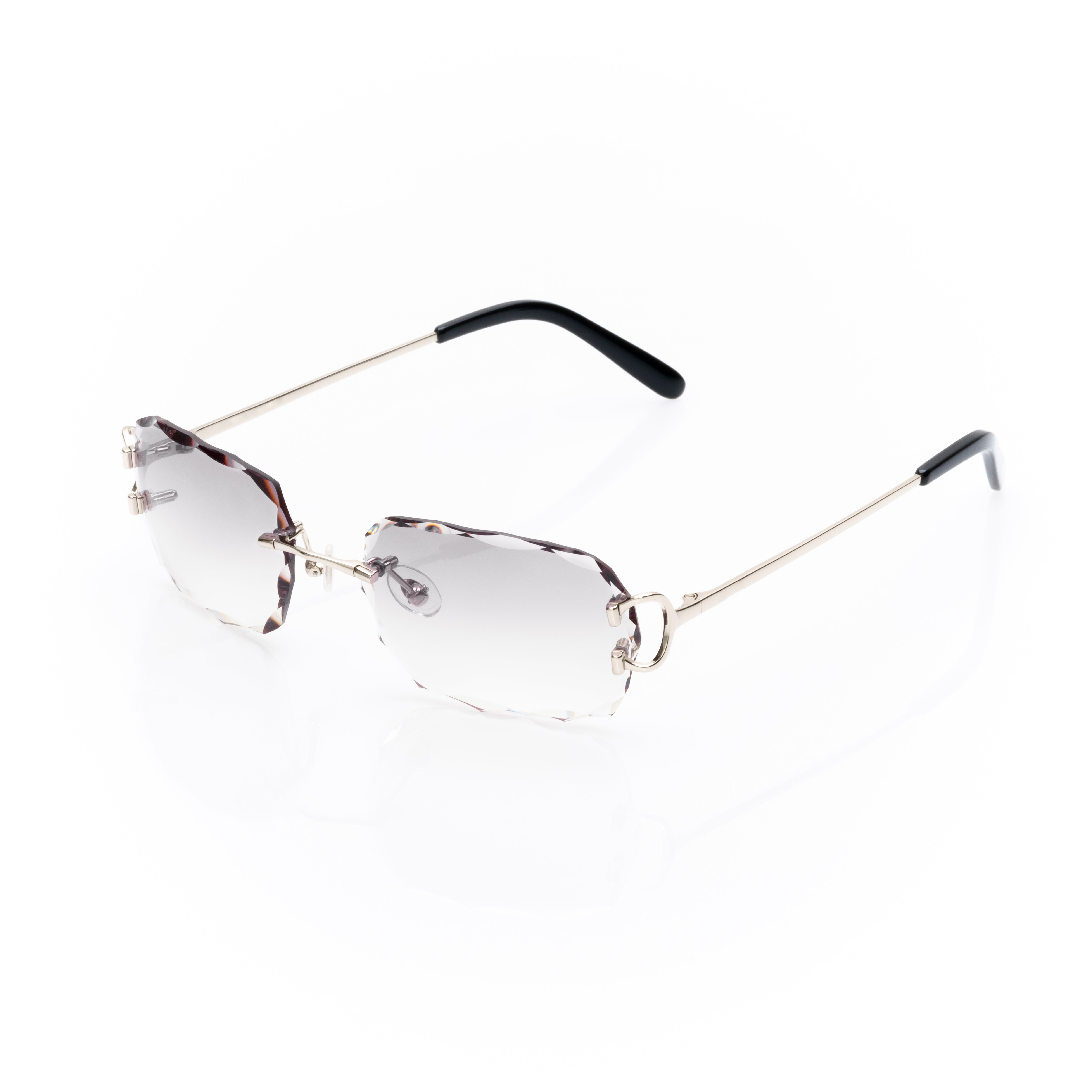 Vision Optik