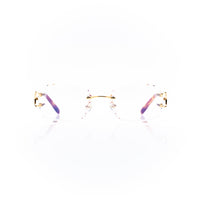 Vision Optik