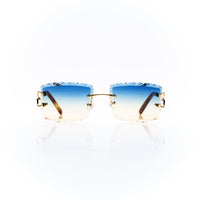 Vision Optik