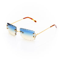 Vision Optik
