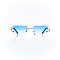 Vision Optik