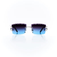 Vision Optik