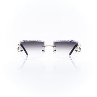 Vision Optik