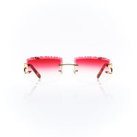 Vision Optik