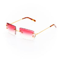 Vision Optik