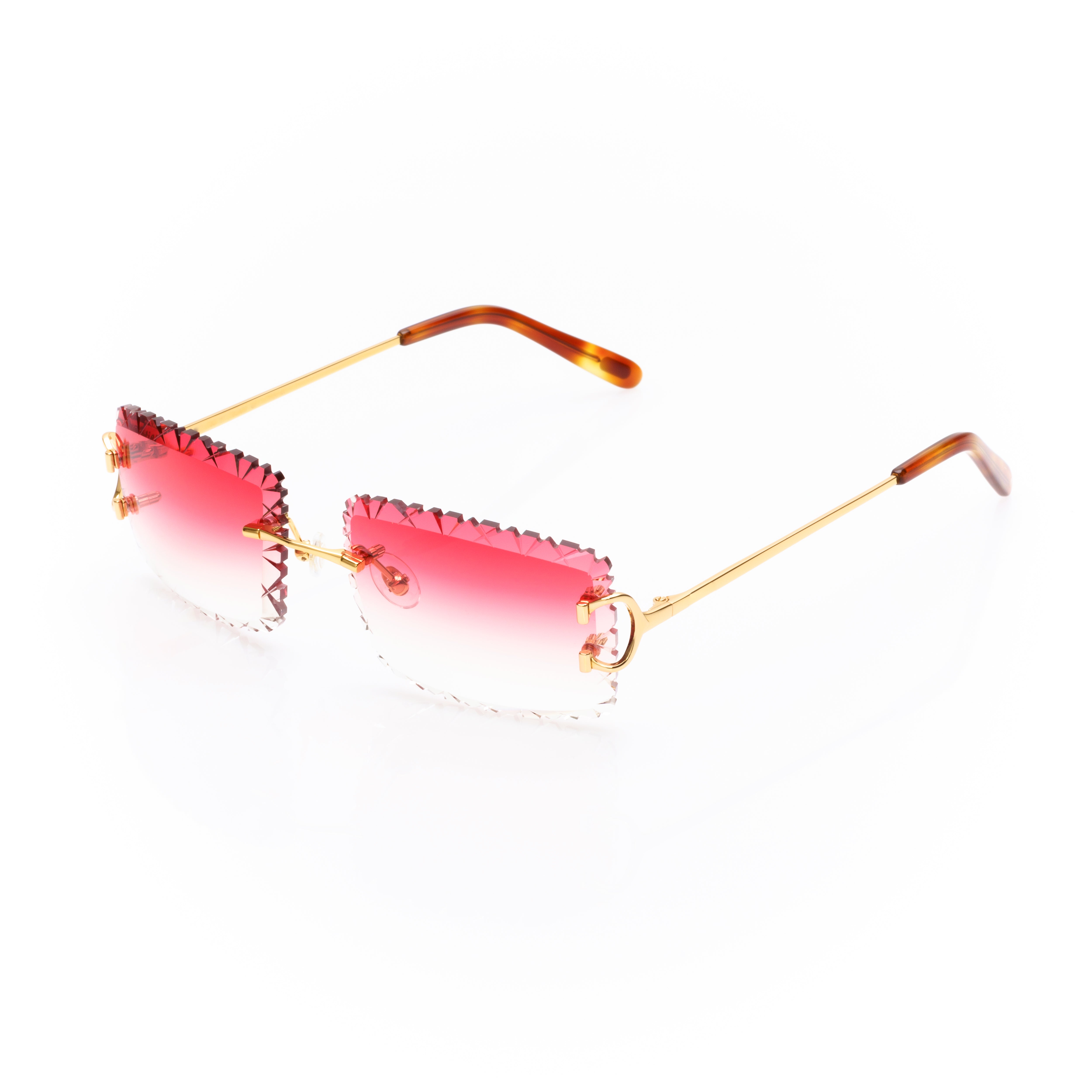 Vision Optik