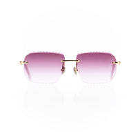 Vision Optik
