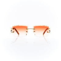 Vision Optik