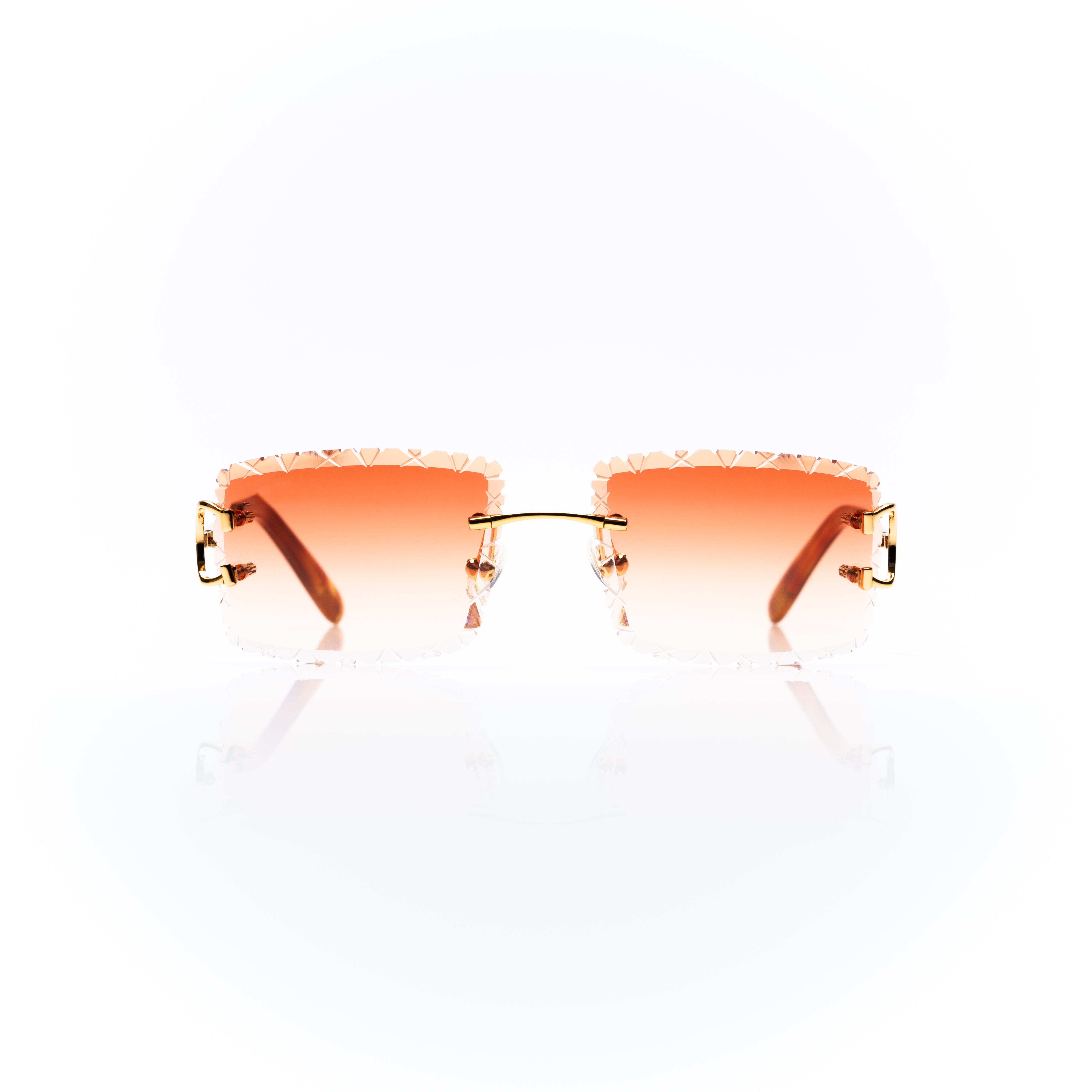 Vision Optik