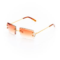 Vision Optik