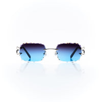 Vision Optik