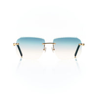 Vision Optik