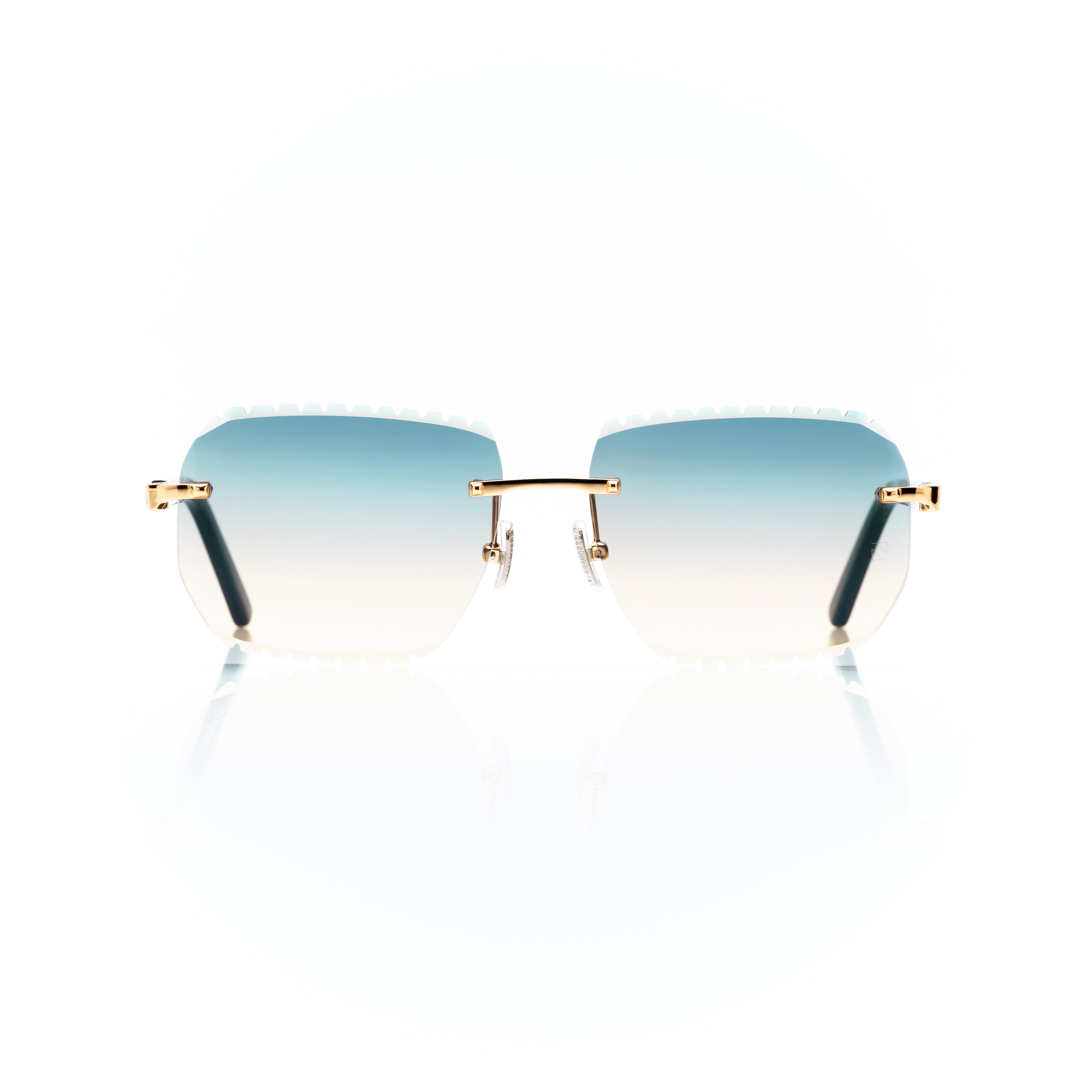 Vision Optik
