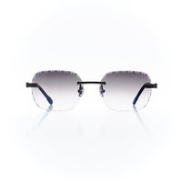 Vision Optik