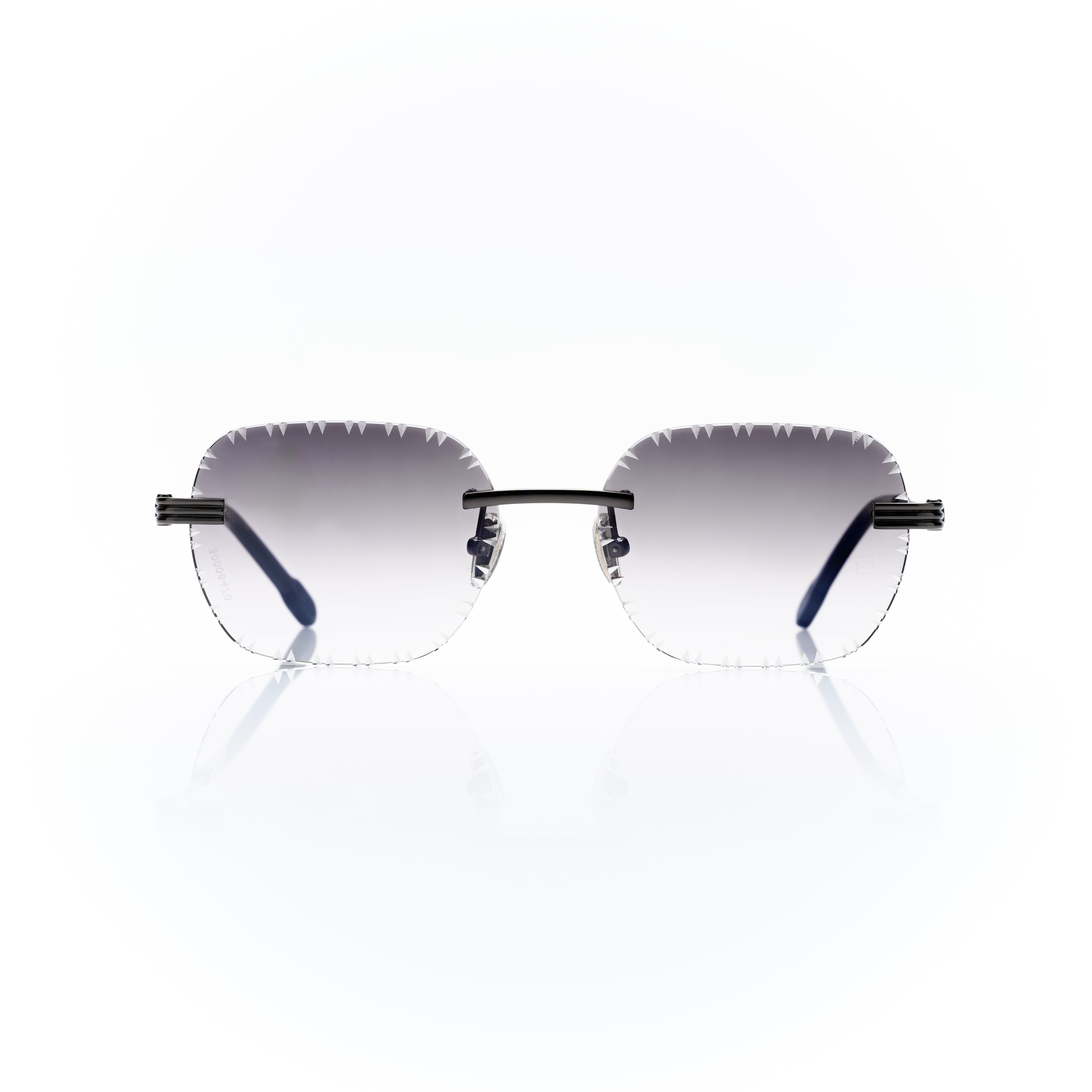 Vision Optik