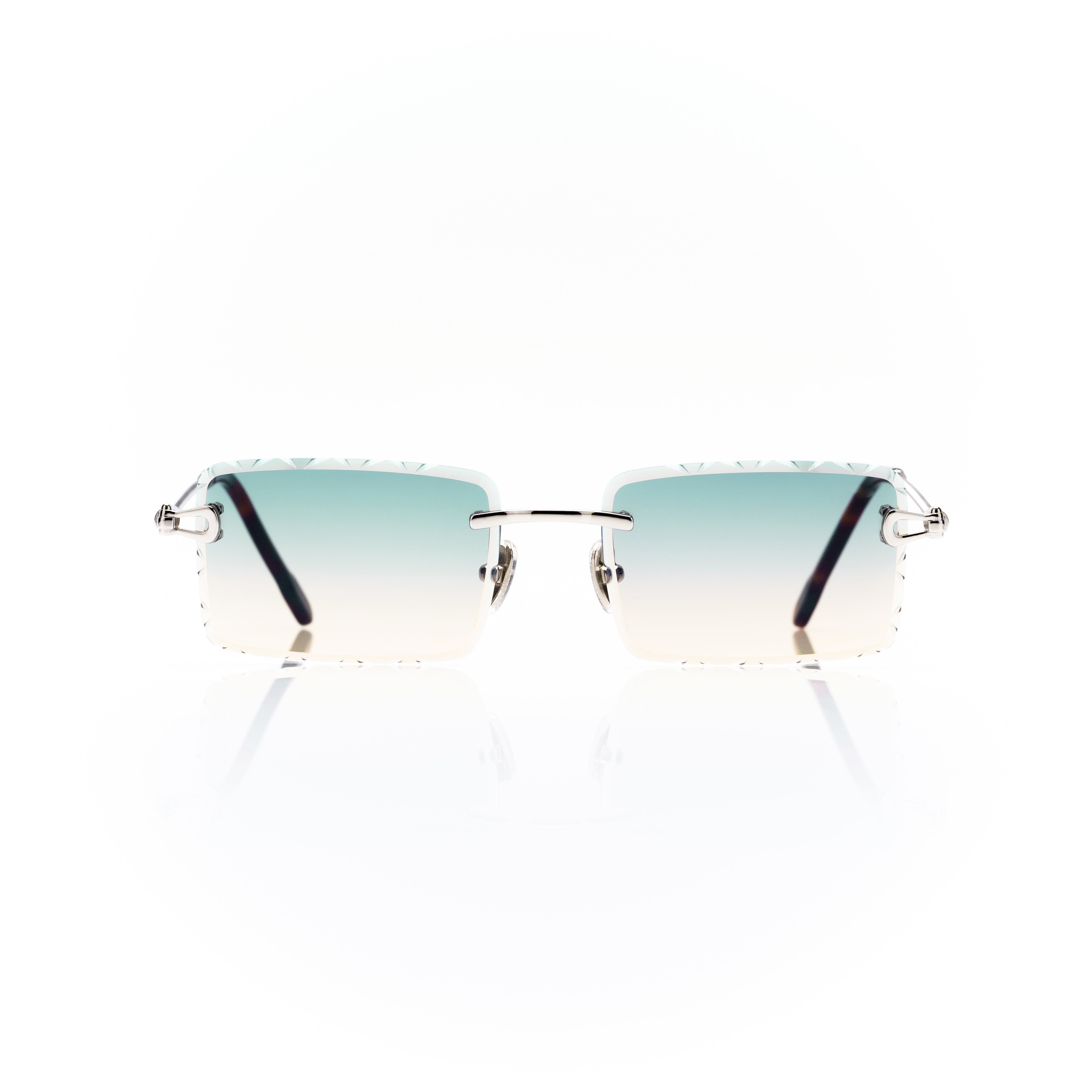 Vision Optik