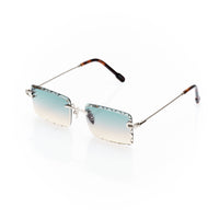 Vision Optik