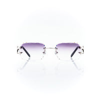 Vision Optik