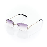 Vision Optik