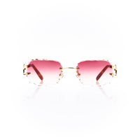 Vision Optik