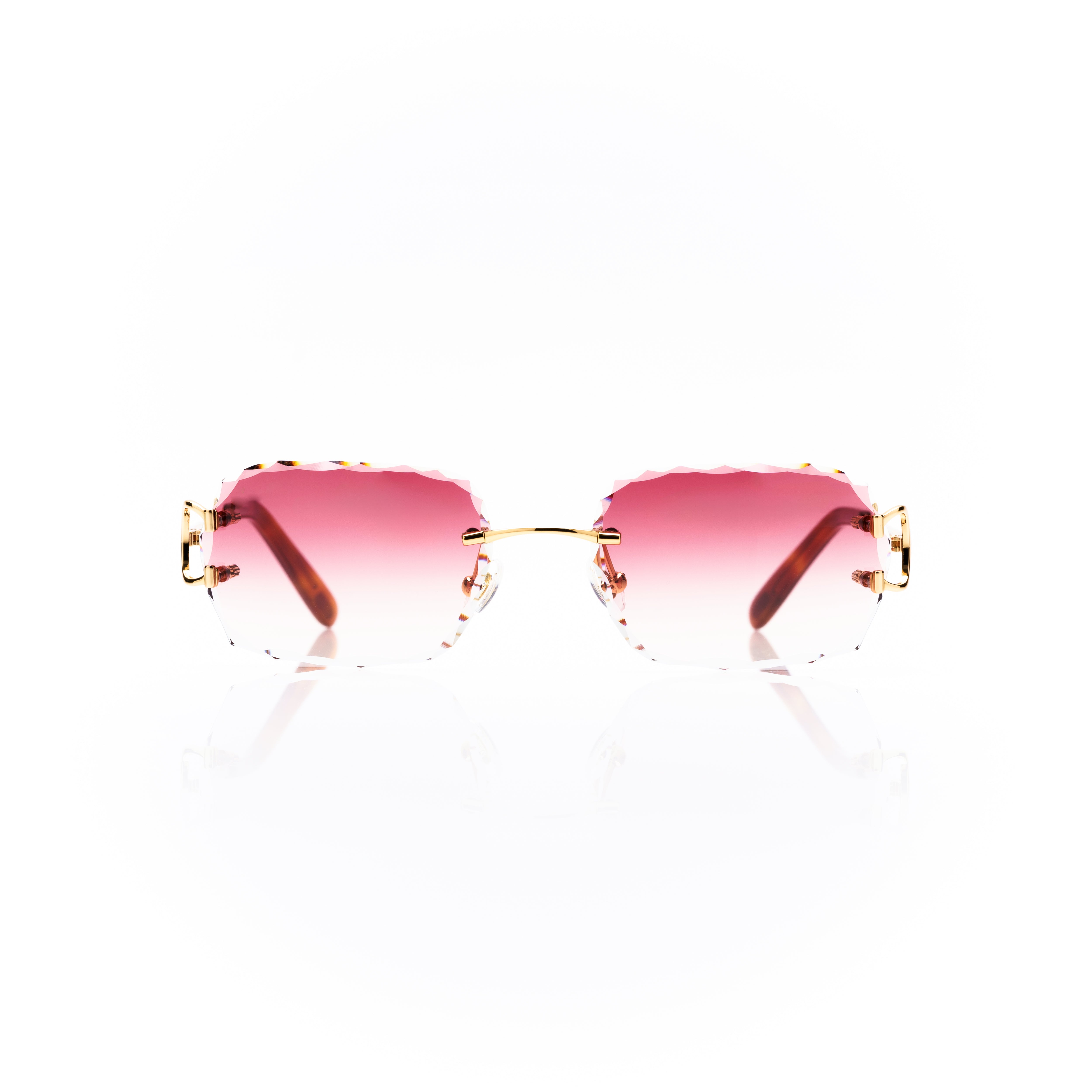 Vision Optik