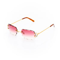 Vision Optik