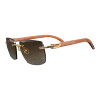 Vision Optik