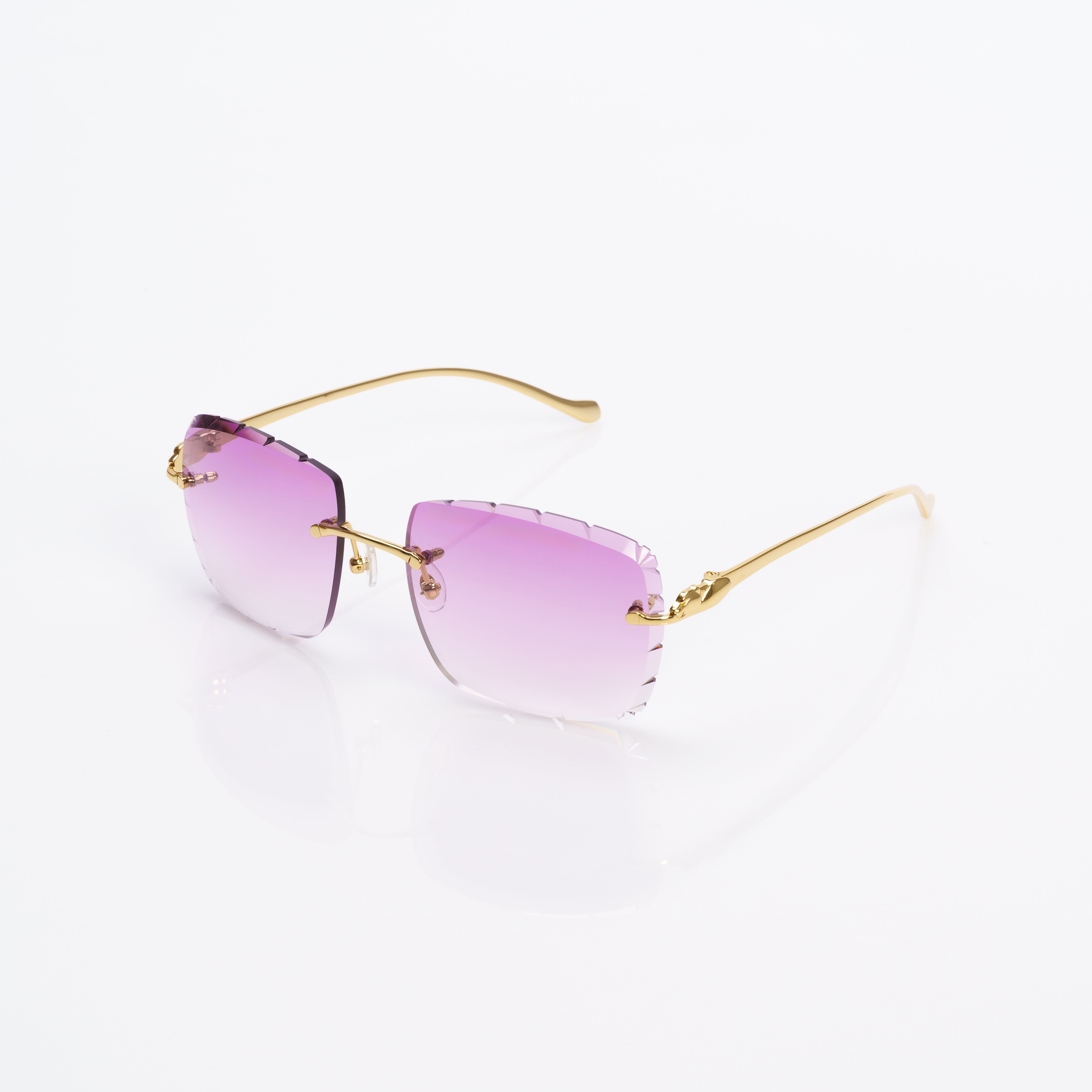 Vision Optik