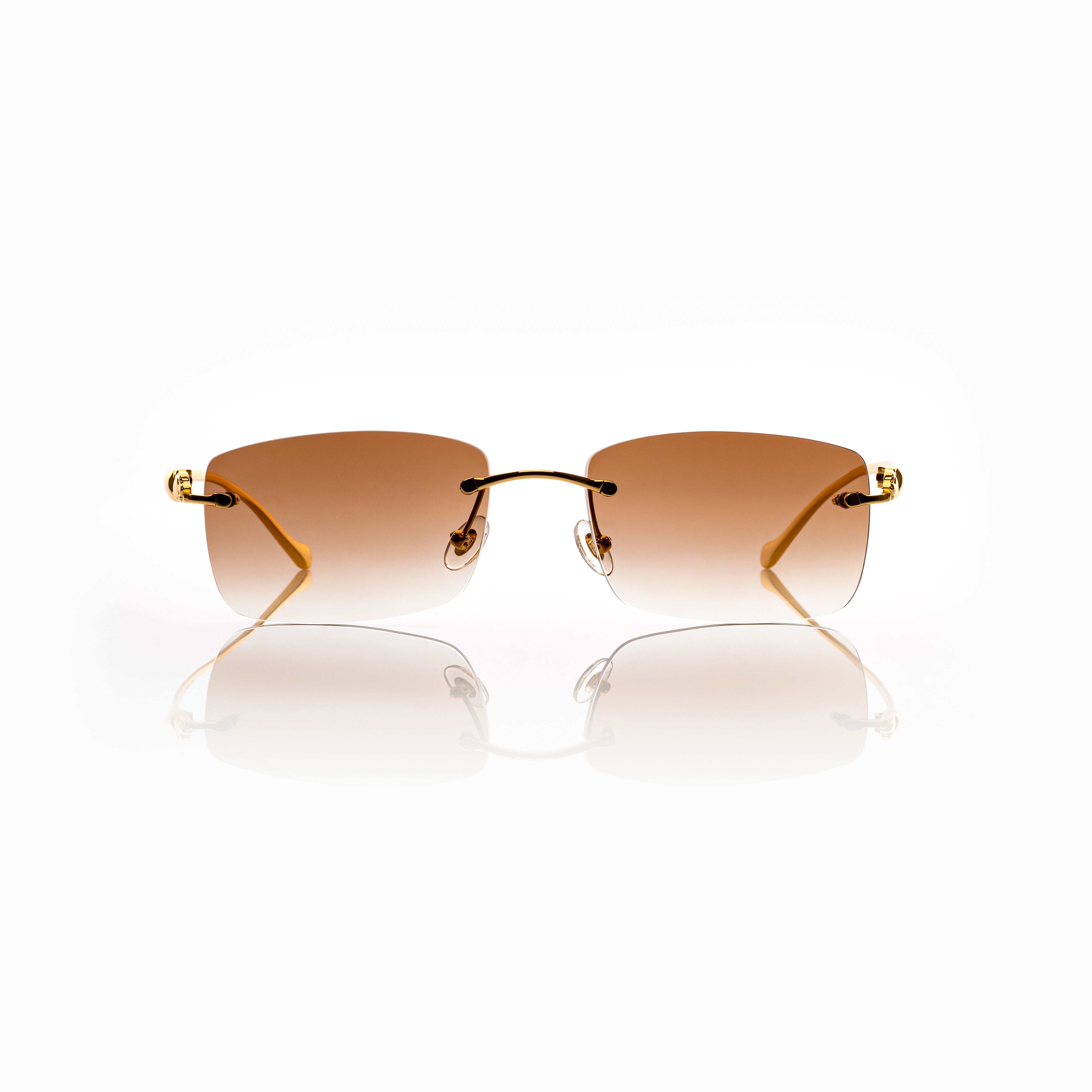 Vision Optik