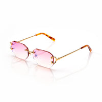 Vision Optik
