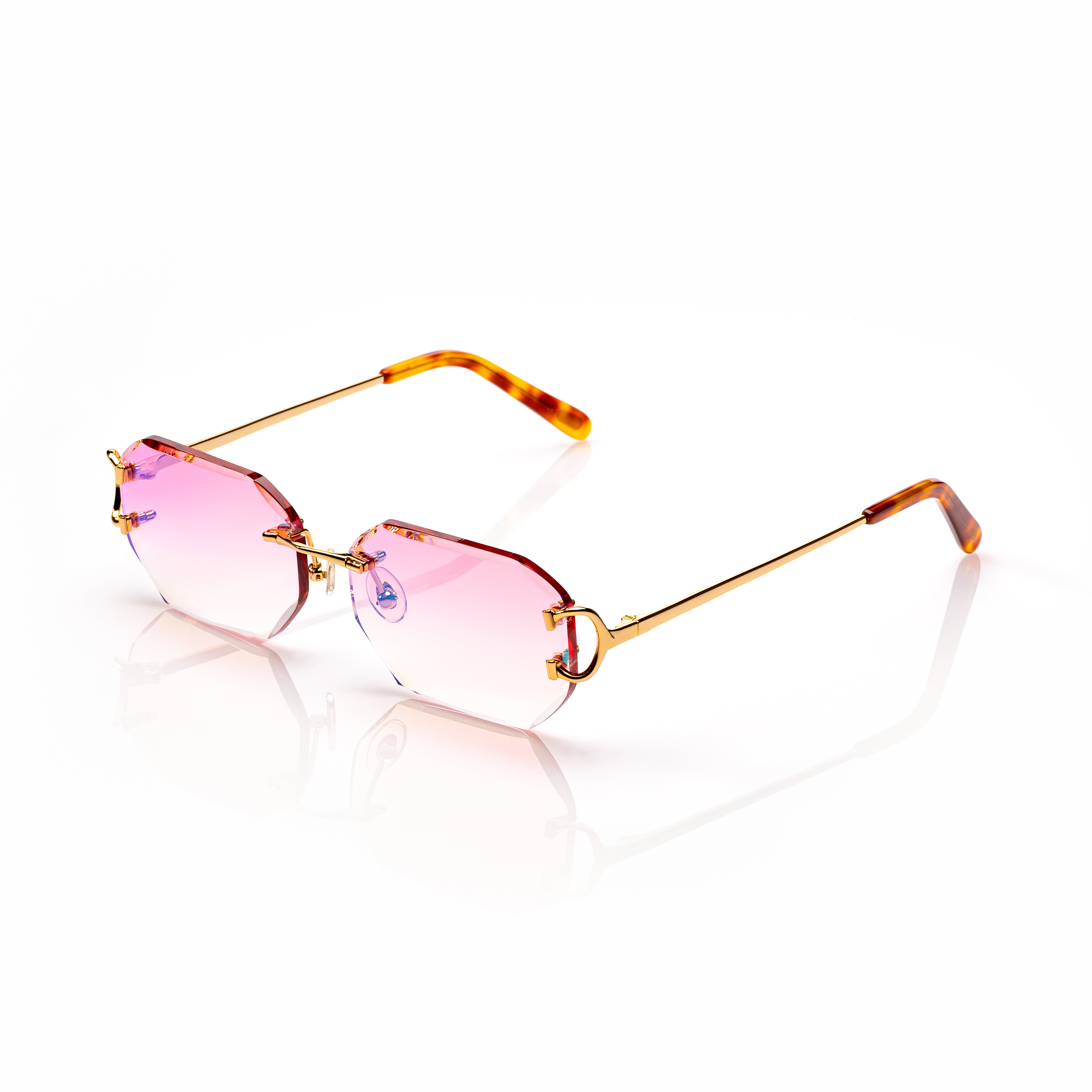 Vision Optik