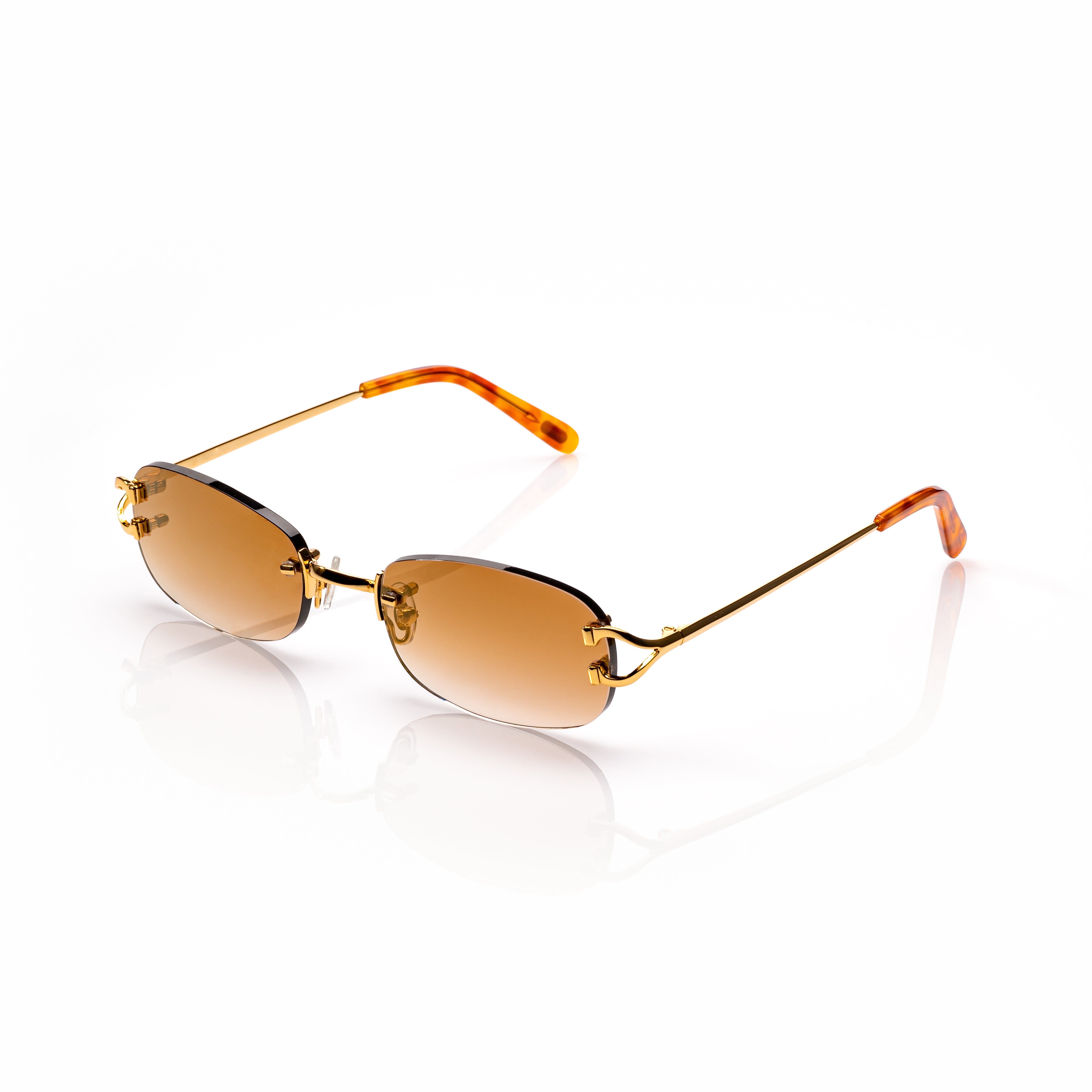 Vision Optik