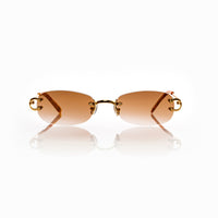Vision Optik
