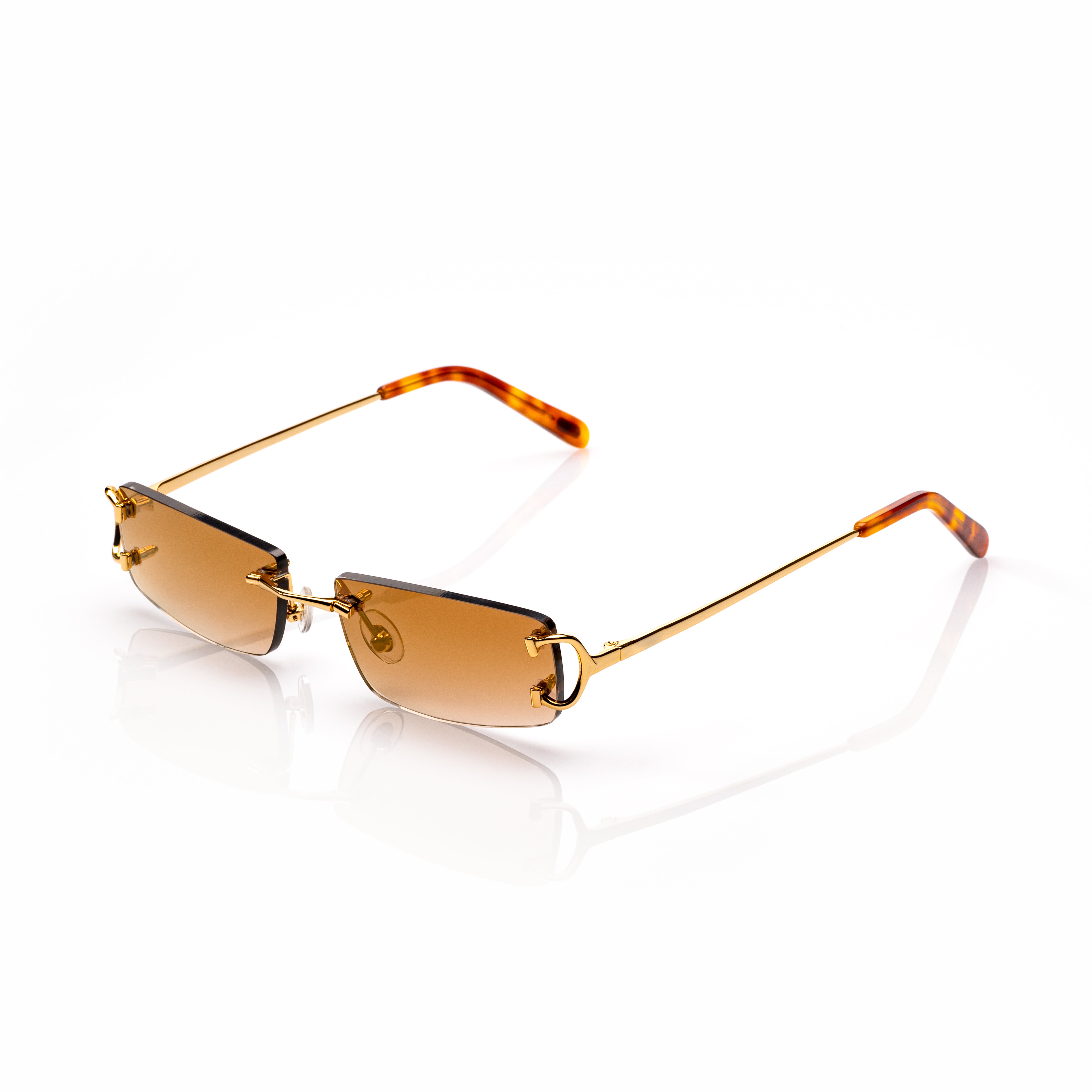 Vision Optik