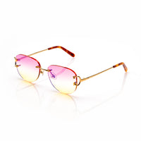 Vision Optik