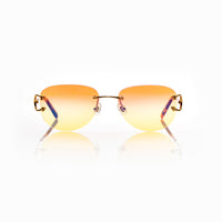 Vision Optik