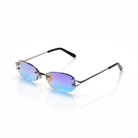 Vision Optik