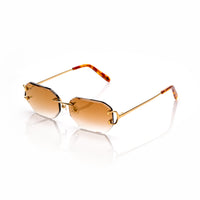 Vision Optik