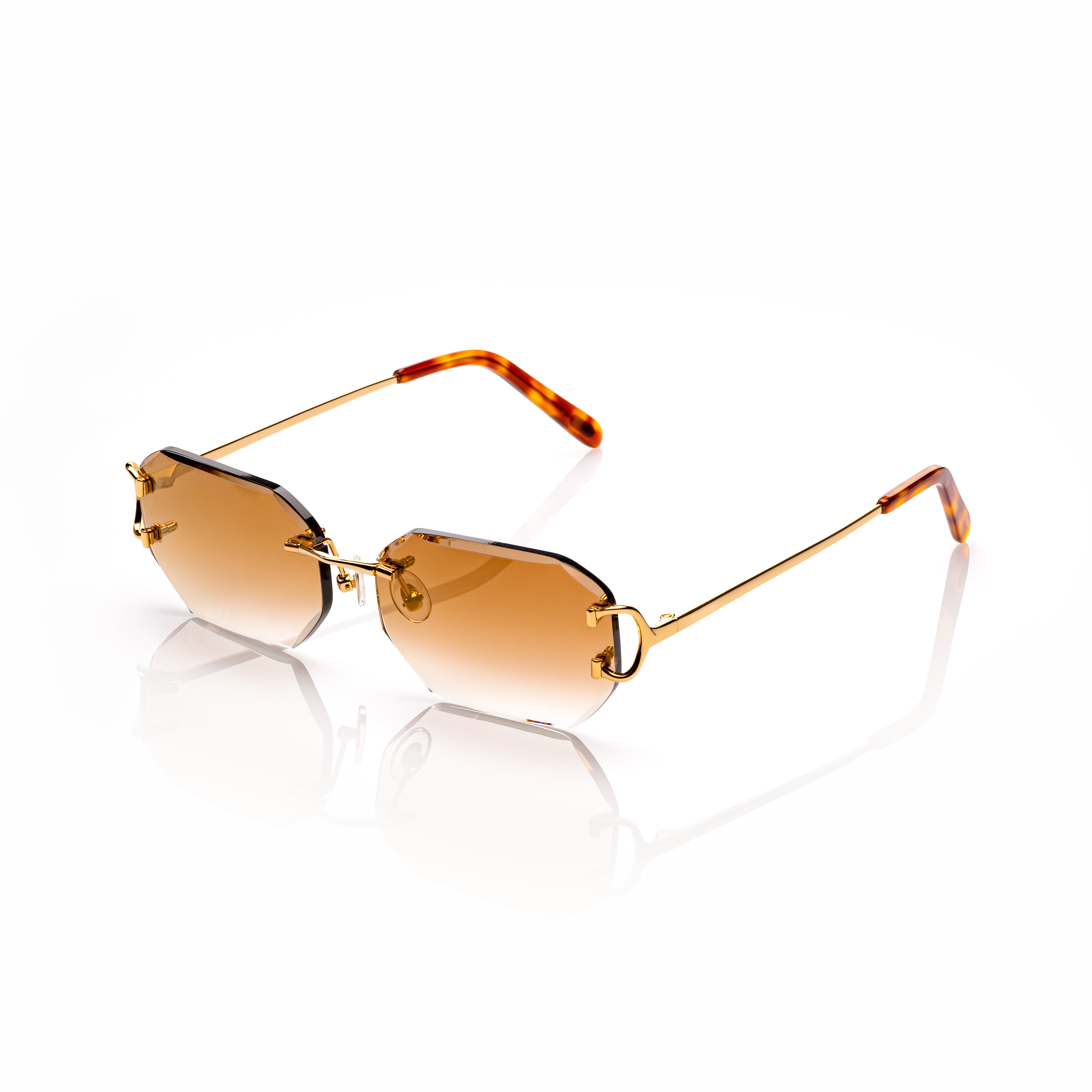 Vision Optik
