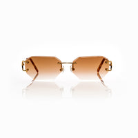 Vision Optik