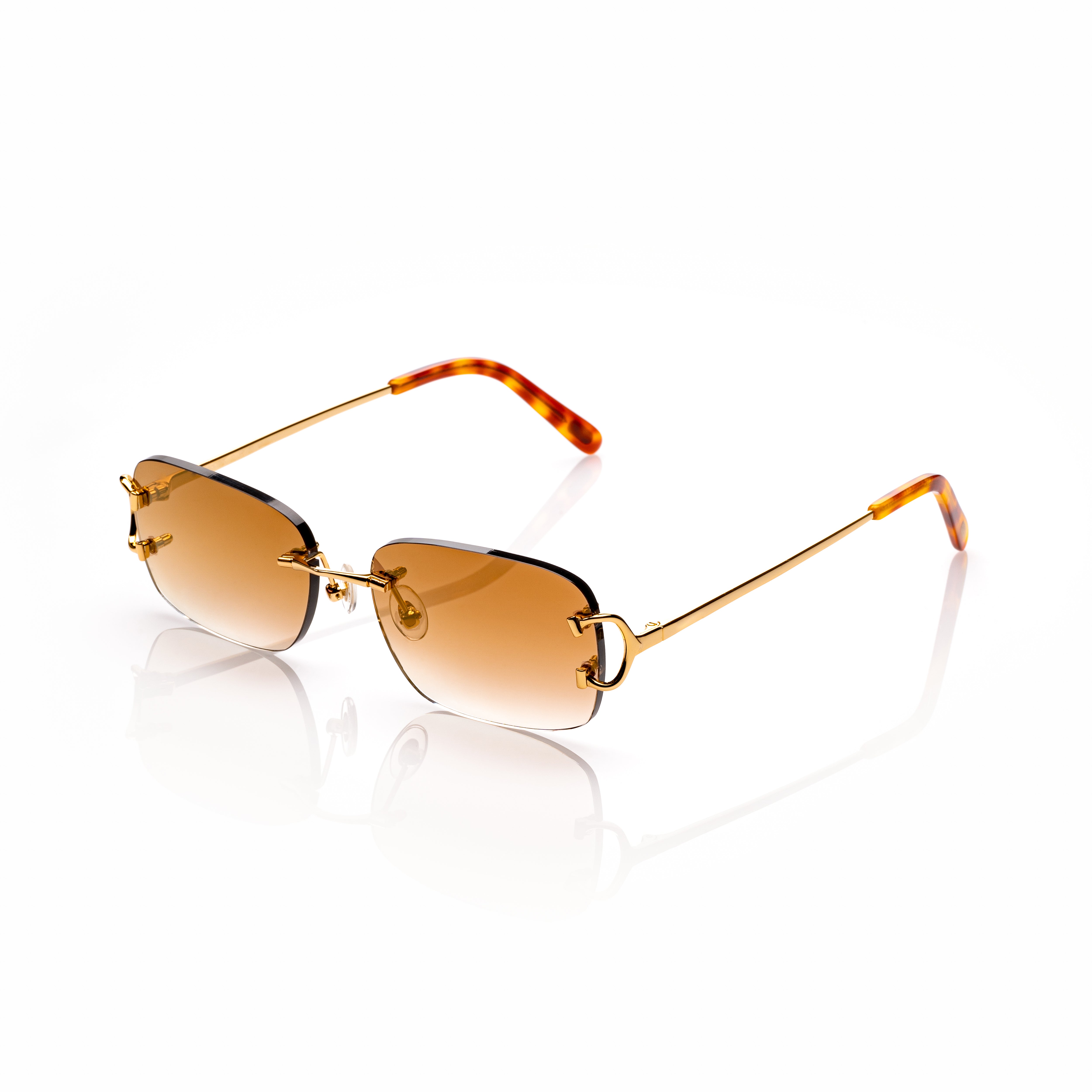 Vision Optik