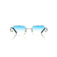 Vision Optik