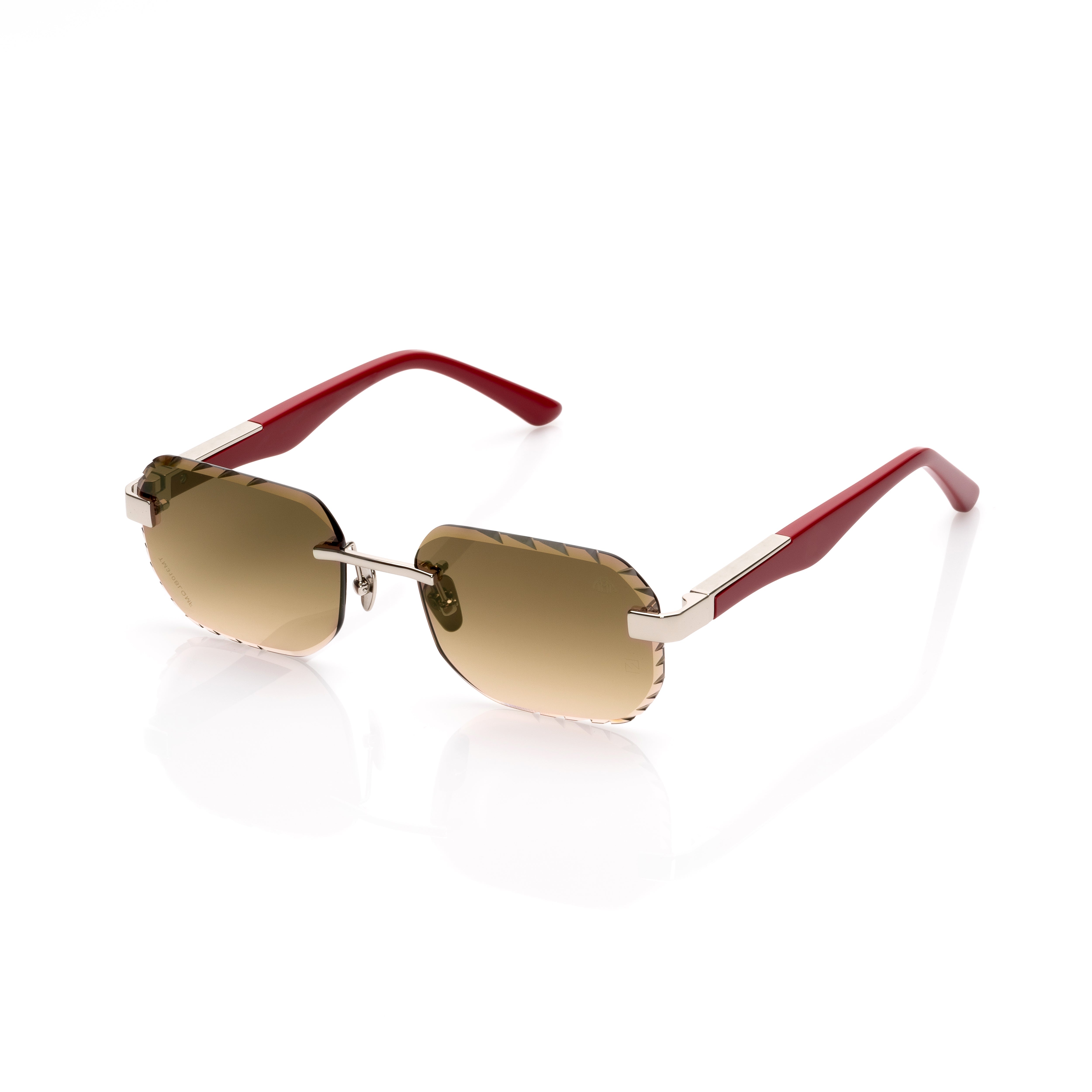 Vision Optik