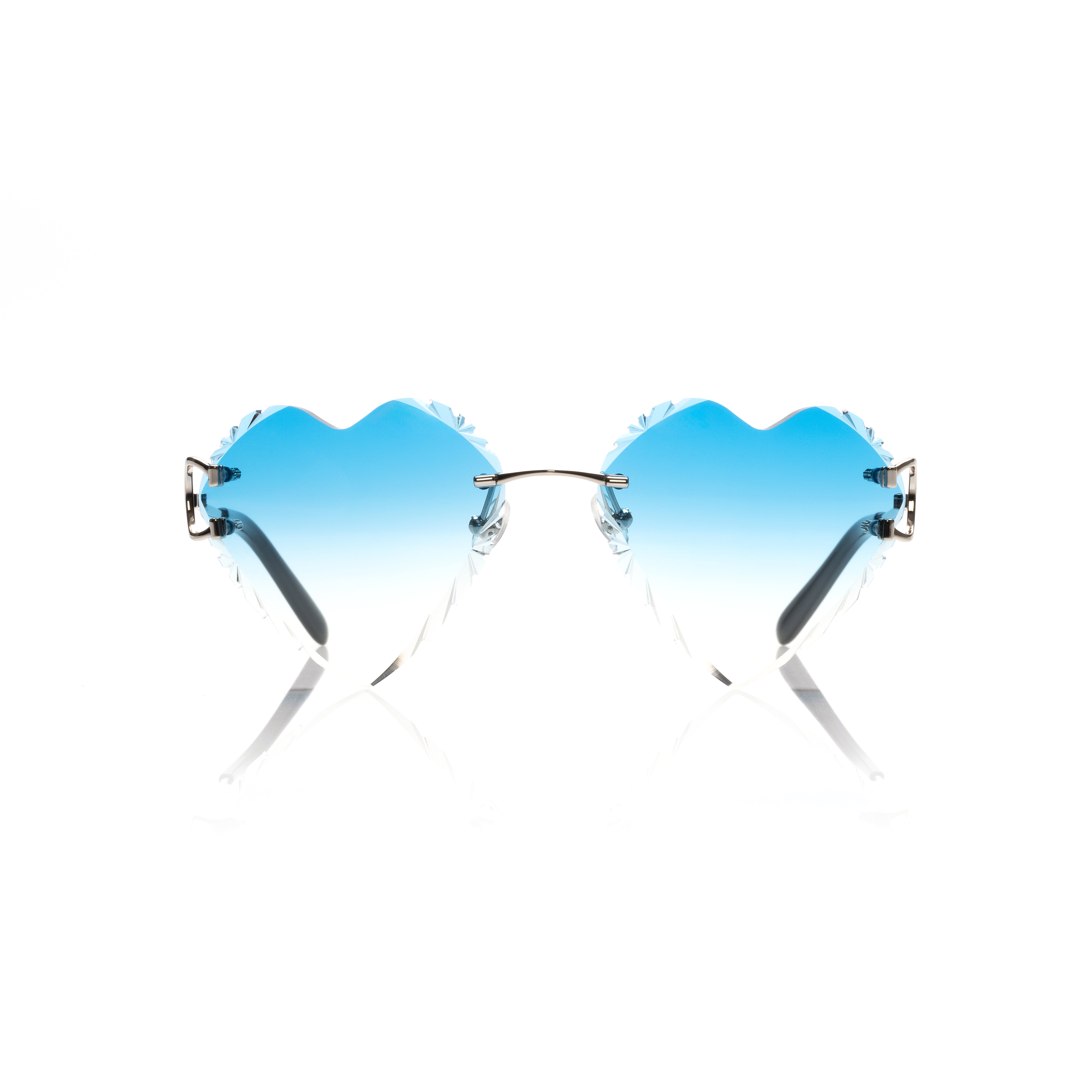 Vision Optik