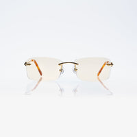 Vision Optik