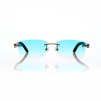 Vision Optik